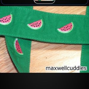 J CREW NWT CRITTER BELT EMBROIDERED WATERMELON S/M